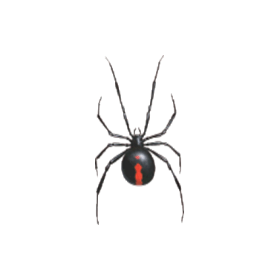 Redback-sm