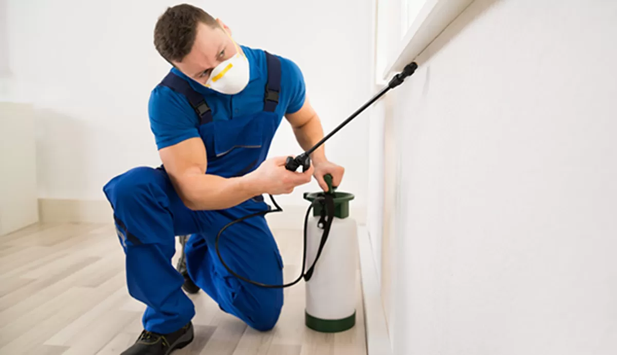 End of Lease Pest Control Experts