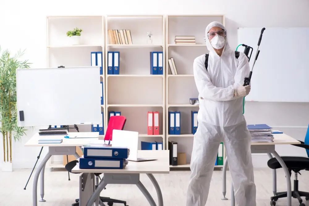 Office Pest Control In Melbourne