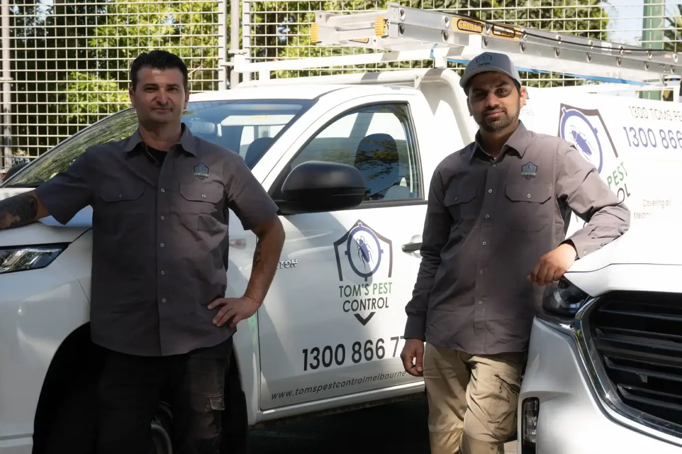 Pre Purchase Pest Inspection in Melbourne