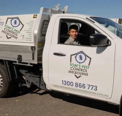 pest control melbourne