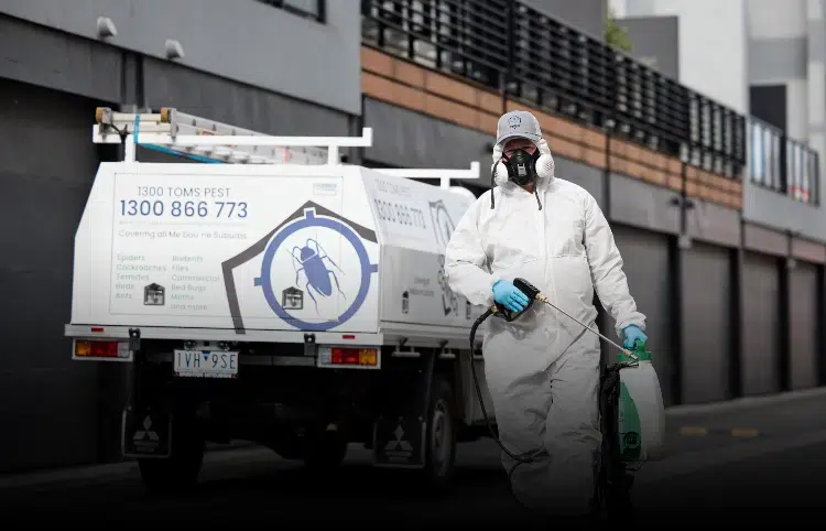 Contact Tom's pest control melbourne