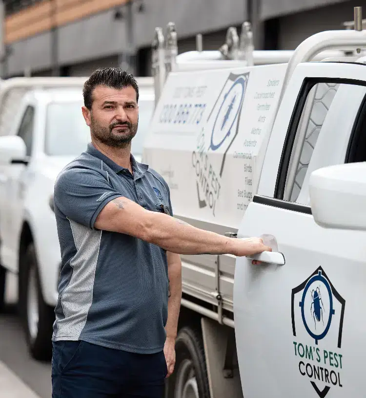 Pest Control Melbourne